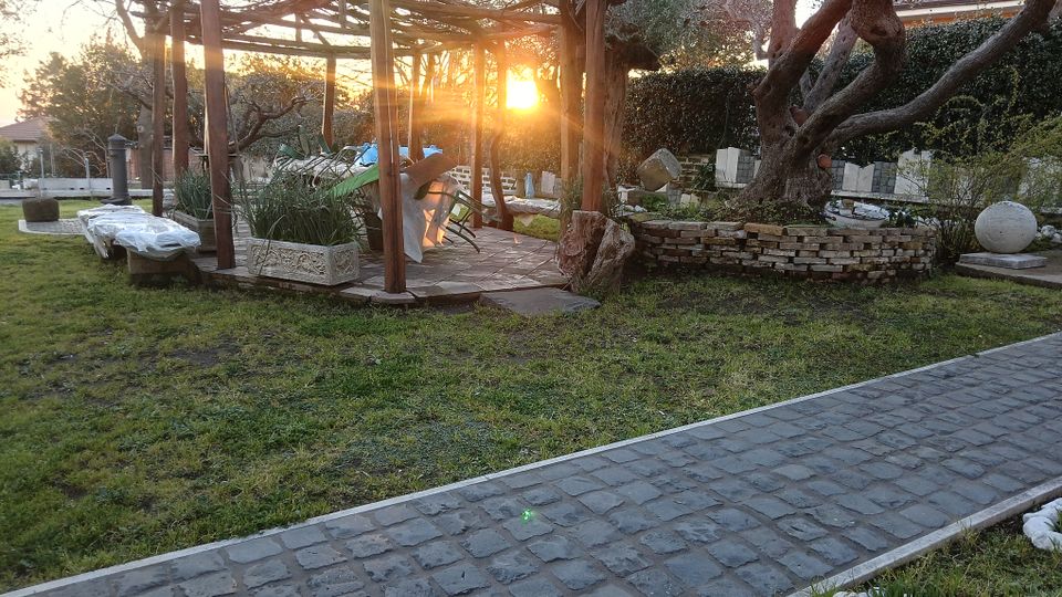 Giardino con pergolato in legno su pavimentazione in pietra, con aiuole e un grande albero circondato da un muretto circolare in mattoni. In primo piano c’è un vialetto lastricato e sullo sfondo siepi e arredi da esterno illuminati dal sole basso.