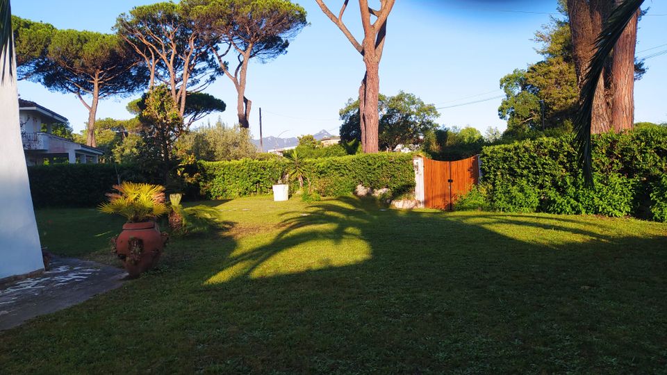 Giardino residenziale con ampio prato, siepi alte e grandi pini marittimi; sulla destra c’è un cancello in legno inserito nella recinzione. In primo piano si vedono un vaso in terracotta e alcune piante ornamentali, con ombre lunghe sul prato e montagne sullo sfondo.