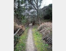 612-34dd069b35f6f49ccb49220de3f54037jpg