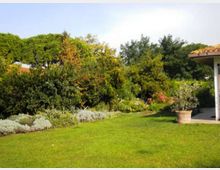 588-ad5036d85987ae16e01ab922eef4c382jpg