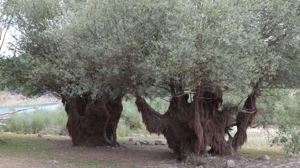 49502-photo-6-jpgjpg