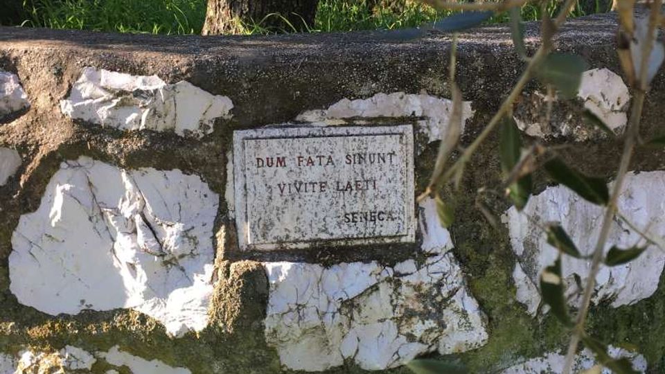 Muretto in pietra rivestito di intonaco bianco scrostato, con una piccola targa rettangolare incassata. Sullo sfondo si vede un uliveto con tronchi e vegetazione erbosa.