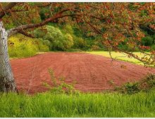 52015-photo-riserva-naturale-macchia-jpgjpg