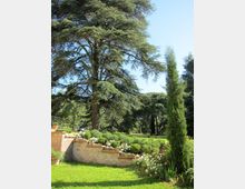 Giardino paesaggistico con prato curato, muretti in mattoni a terrazze con aiuole di arbusti e fiori bianchi. Sullo sfondo si vedono grandi alberi sempreverdi, tra cui un alto cipresso, in un’area verde ampia e alberata.
