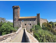Castello medievale in pietra con alta torre cilindrica merlata e mura fortificate, visto da un lungo camminamento sopraelevato che conduce all’ingresso. Intorno si estende una vegetazione fitta in campagna sotto un cielo azzurro limpido.