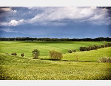 52021-photo-243322-jpgjpg