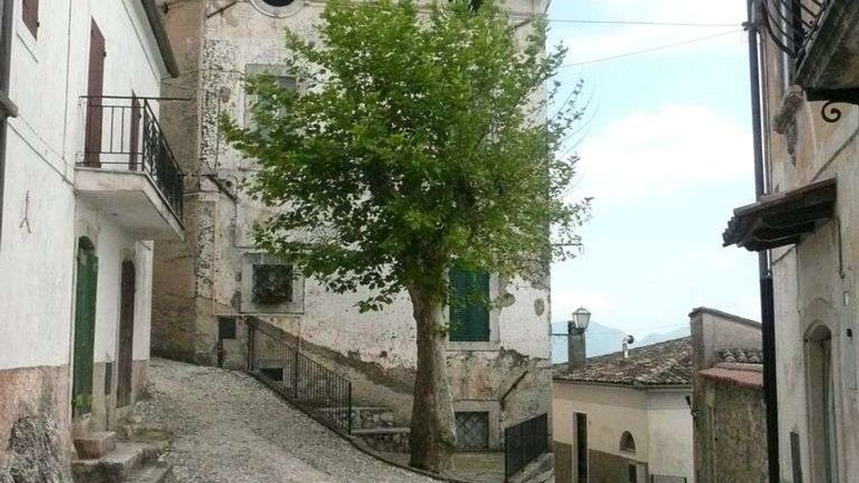 Strada in salita lastricata in pietra in un borgo, fiancheggiata da case intonacate con balconi e persiane. Al centro si vede un grande albero davanti a un edificio storico con facciata usurata, con cavi aerei e lampione sullo sfondo.