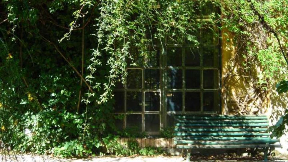 Facciata di un edificio con grande finestra a riquadri in vetro, parzialmente nascosta da rampicanti e vegetazione fitta. Davanti alla parete, su un vialetto ghiaioso, c’è una panchina verde vicino all’ingresso.