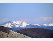 51850-photo-crepacuoresufondijenne-jpgjpg