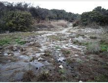 612-34acd9f8dfc8ce9212ab1bab1b219710jpg