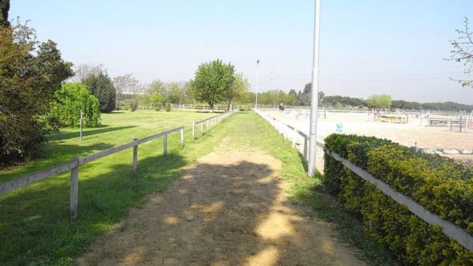 Vialetto sterrato in un’area verde, affiancato da staccionate in legno e cespugli, con alberi e prato ai lati. A destra si intravede un’area recintata tipo campo o maneggio con illuminazione e strutture sullo sfondo.