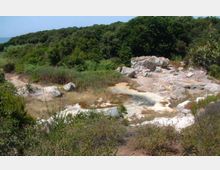 52160-photo-73786936-jpgjpg