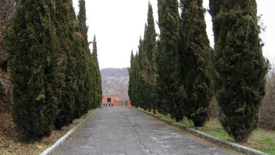 Viale asfaltato rettilineo fiancheggiato da alti cipressi su entrambi i lati, con cordoli laterali e vegetazione ai margini. Sullo sfondo si vedono alcuni edifici e colline alberate sotto un cielo coperto.