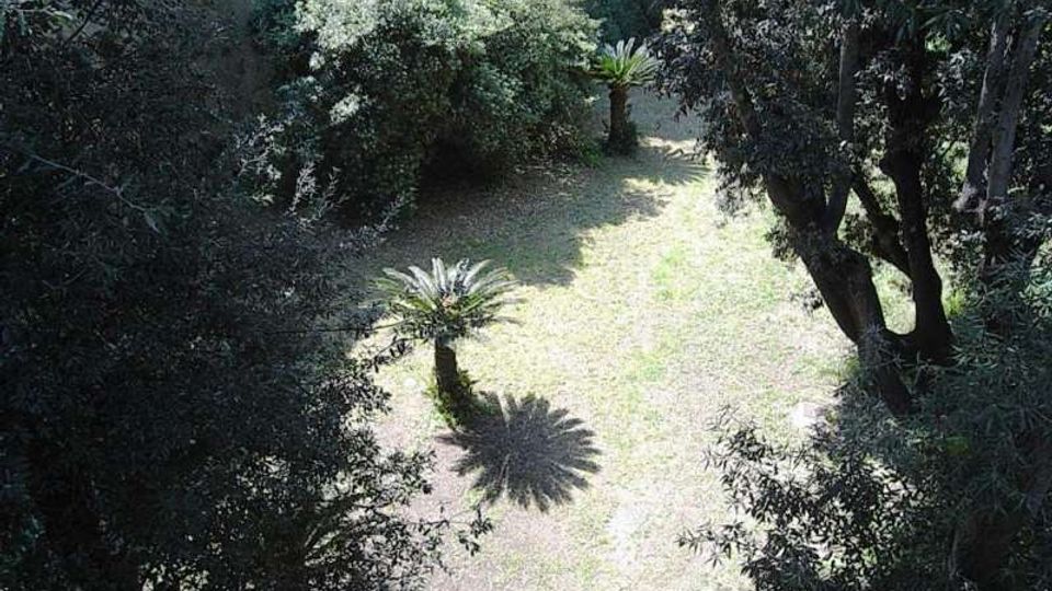 Area verde all’aperto con prato e diverse piante, tra cui alberi ad alto fusto e piccole palme, che creano zone d’ombra. Sullo sfondo si intravede un muro in pietra che delimita lo spazio.