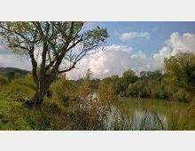 52175-photo-images-1-jpgjpg