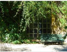 Facciata di un edificio con grande finestra a riquadri in vetro, parzialmente nascosta da rampicanti e vegetazione fitta. Davanti alla parete, su un vialetto ghiaioso, c’è una panchina verde vicino all’ingresso.