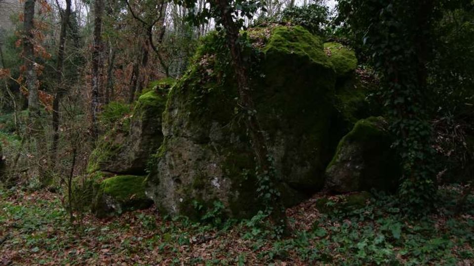 Grande masso coperto di muschio in un bosco fitto, circondato da alberi e sottobosco con edera e foglie secche sul terreno. Rocce più piccole e vegetazione ombrosa completano l’ambiente naturale.