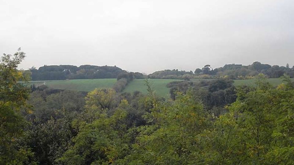 560-8451001bbf5a29683a34d2d2274e5278jpg