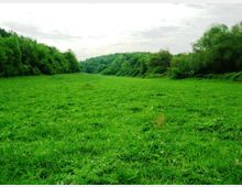 51837-photo-un-incanto-si-sente-solo-il-suono-della-natura-jpgjpg