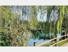 58302-photo-214917-7k4ijj9-jpgjpg