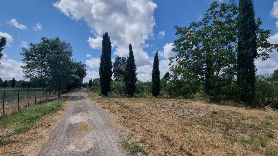 Stradina di campagna sterrata che attraversa un’area rurale, fiancheggiata da cipressi e alberi con recinzioni e campi ai lati. Sullo sfondo cielo azzurro con grandi nuvole bianche.