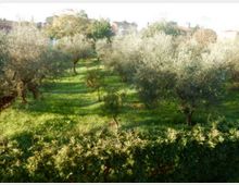 51060-photo-07a-jpgjpg