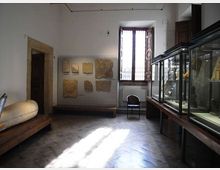 Interno di una sala museale con pareti bianche, grande finestra con inferriata e luce naturale sul pavimento in pietra. Lungo un lato ci sono vetrine espositive in vetro e, sull’altra parete, pannelli con reperti o frammenti incorniciati; presenti anche panche in legno e una sedia.