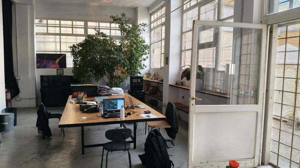 Interno di un ufficio open space in stile industriale con grandi finestre a griglia e porta vetrata, illuminato da luce naturale. Al centro c’è un lungo tavolo da lavoro con laptop e sedie, affiancato da una grande pianta in vaso e da mobili e scaffali lungo le pareti.
