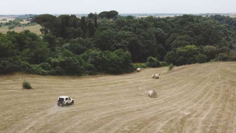 Ampio campo agricolo con erba tagliata e rotoballe di fieno sparse, attraversato da una traccia sterrata. Sullo sfondo si vede una fitta fascia di bosco e, oltre, dolci colline rurali all’orizzonte.