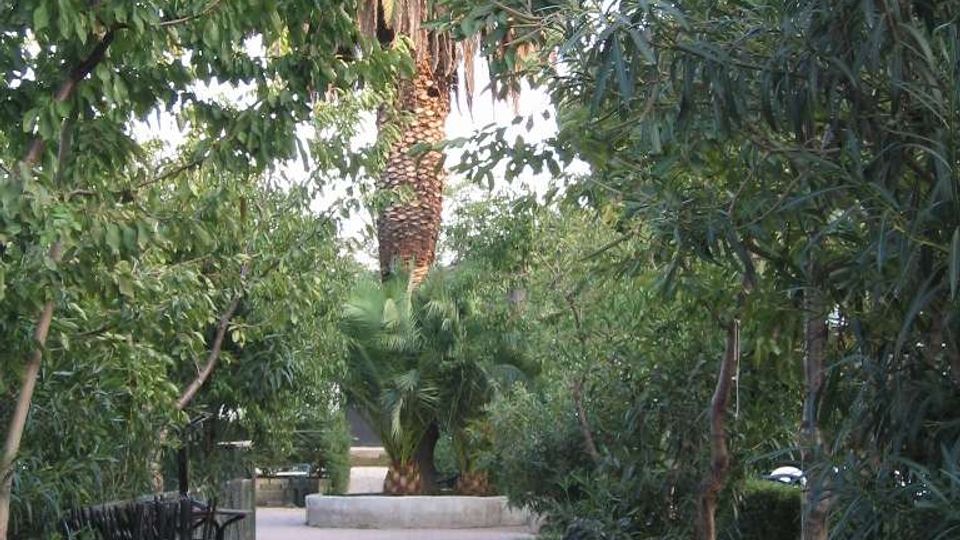 Viale pedonale pavimentato in un giardino alberato, circondato da vegetazione fitta e con una grande palma al centro in una aiuola circolare. Sul lato sinistro sono impilate sedie nere, mentre ai bordi del percorso ci sono siepi e piccole rocce.