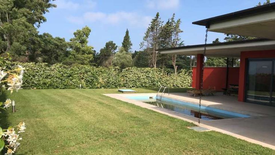 53199-photo-img-5577-jpgjpg