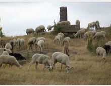 55915-photo-1715308-orig-jpgjpg