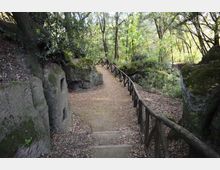 51880-photo-130692822-jpgjpg