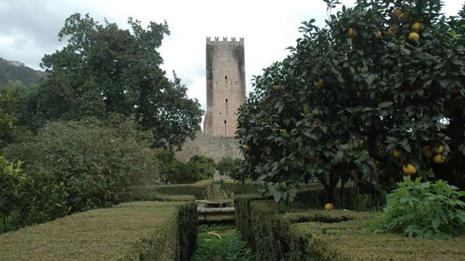 45050-photo-giardino-dsc-8027-jpgjpg