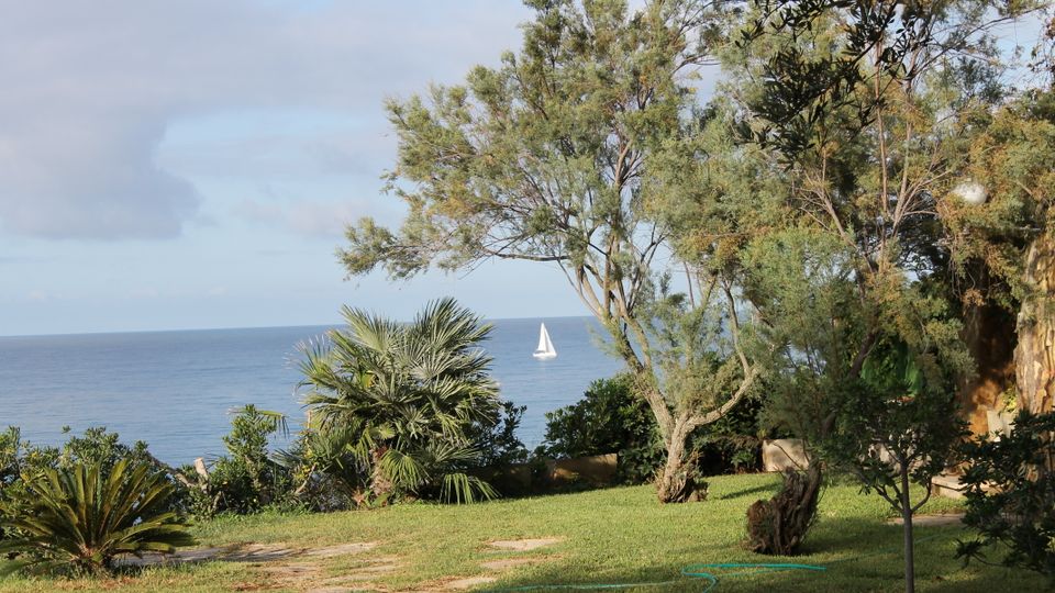 Giardino costiero con prato e sentiero in pietra, circondato da palme e alberi, affacciato sul mare. All’orizzonte si vede una barca a vela su acqua calma sotto un cielo parzialmente nuvoloso.