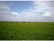 Ampia pianura erbosa con prato verde che si estende fino all’orizzonte, con pochi edifici lontani e alberi sparsi. Sopra, un cielo aperto con nuvole bianche e sottili velature.