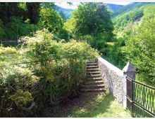 56829-photo-20210525-151050-jpgjpg