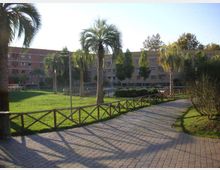 Viale pavimentato in un parco urbano con prato, palme e staccionata in legno lungo il percorso. Sullo sfondo si vedono un piccolo stagno con fontana e palazzi residenziali a più piani.