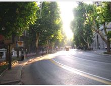 Ampio viale urbano curvo fiancheggiato da alti alberi e marciapiedi, con edifici in muratura ai lati. La luce del sole filtra al centro della strada, dove si intravede un autobus in lontananza e segnaletica stradale lungo il percorso.