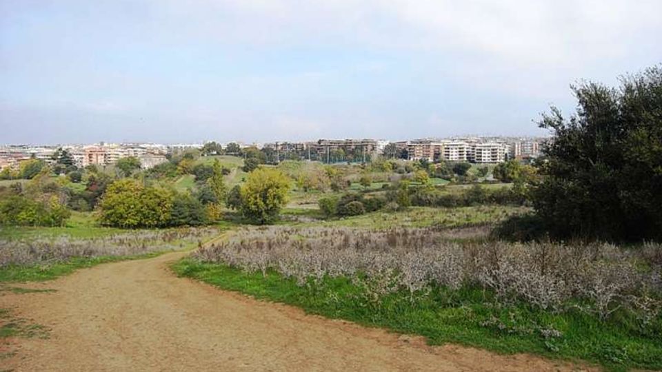 560-8b437ffbcae86c85684b788c32145582jpg