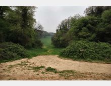 52046-photo-insugherata-10c-jpgjpg