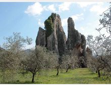 58386-photo-screenshot-4784-pngpng