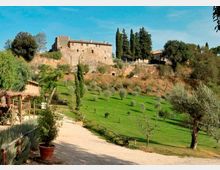 Veduta di una collina con un grande edificio in pietra tipo castello o villa fortificata, circondato da cipressi e alberi. In primo piano un viale sterrato e un giardino con prato verde e ulivi.