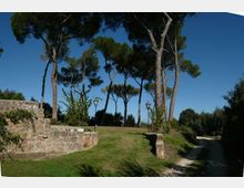 219-a5f3436be5ee0fa901e03448359d366djpg