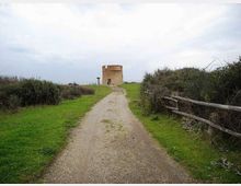 612-128773375426962e860bf67ef0226fa4jpg