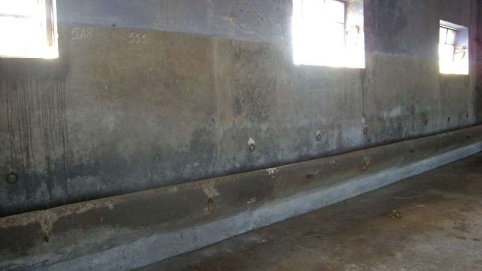 Interno di un edificio rurale con pareti intonacate e macchiate e tre finestre rettangolari alte che lasciano entrare luce. Lungo la parete corre una lunga canalina in cemento con attacchi metallici, su pavimento grezzo e soffitto con travi a vista.