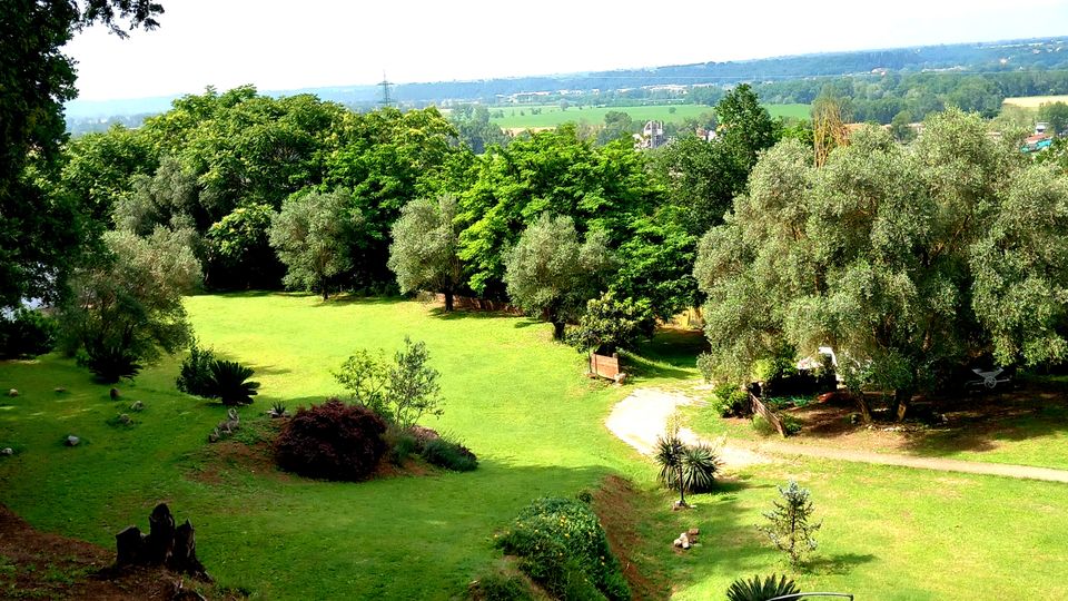 Vista dall’alto di un ampio parco collinare con prato verde, alberi folti e un sentiero chiaro che attraversa l’area. In primo piano si vede una piccola terrazza pavimentata con ombrelloni e pergola, mentre sullo sfondo si apre una pianura con campi e boschi all’orizzonte.