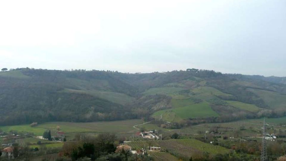 Panorama di campagna collinare con campi agricoli a mosaico e filari di alberi, attraversati da una strada bianca che serpeggia nella valle. In primo piano si vedono uliveti e alcune case rurali sparse, con colline boscose sullo sfondo sotto un cielo coperto.