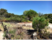 52153-photo-torcaldara-4-jpgjpg