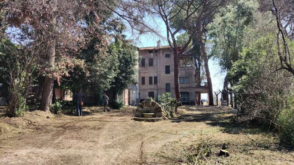 58040-photo-img-20210609-145903-jpgjpg